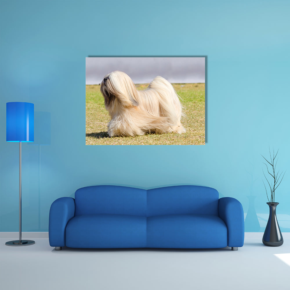 A small young light tan, fawn, beige, gray and white Lhasa Apso dog Multi Panel Canvas Wall Art