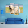 A small young light tan, fawn, beige, gray and white Lhasa Apso dog Multi Panel Canvas Wall Art