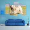 A small young light tan, fawn, beige, gray and white Lhasa Apso dog Multi Panel Canvas Wall Art