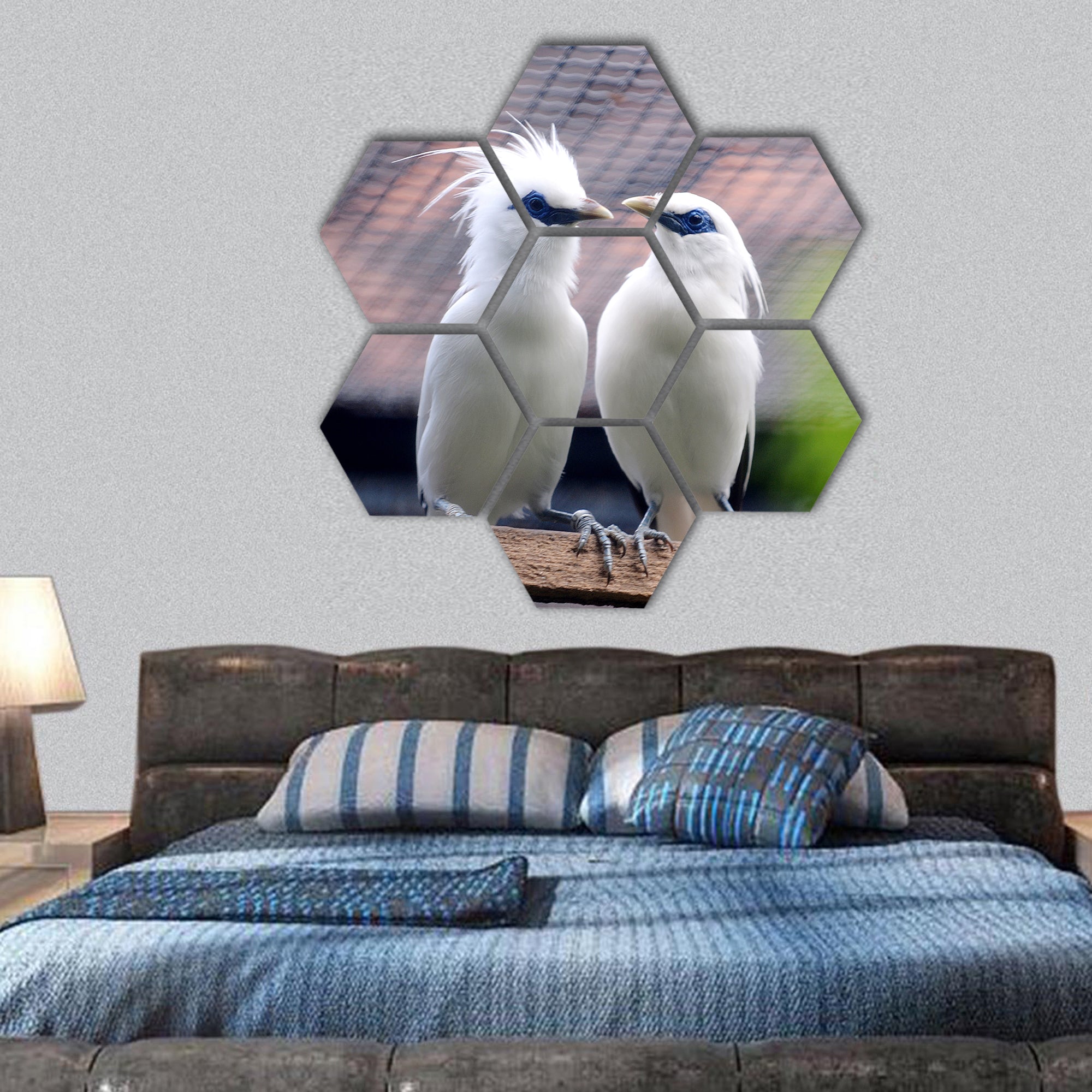 Bali Starling Bintanag Suarabaya Gardens collection hexagonal canvas wall art