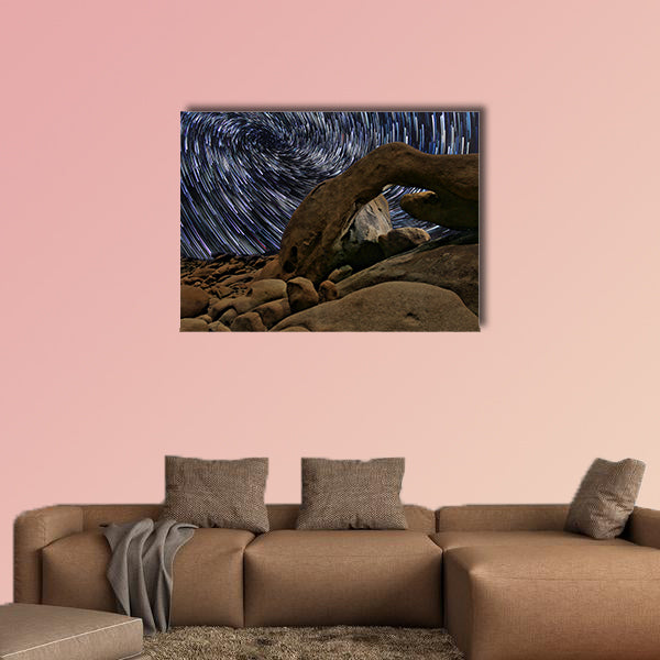 Beautiful Star Trails in Joshua Tree  multi panel canvas wall art