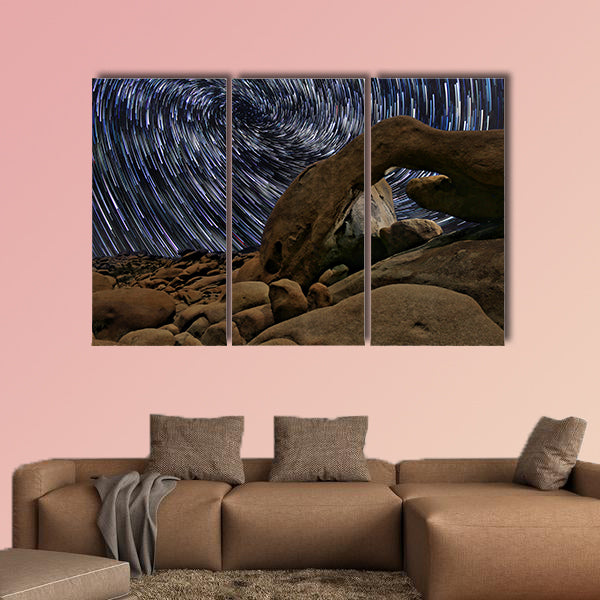 Beautiful Star Trails in Joshua Tree  multi panel canvas wall art