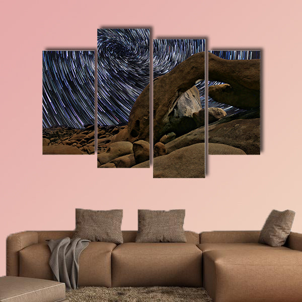 Beautiful Star Trails in Joshua Tree  multi panel canvas wall art