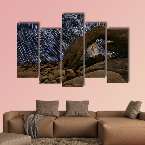 Beautiful Star Trails in Joshua Tree  multi panel canvas wall art