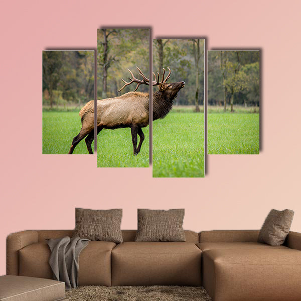 Trophy-class Bull Elk Stag in dense morning fog, multi panel canvas wall art