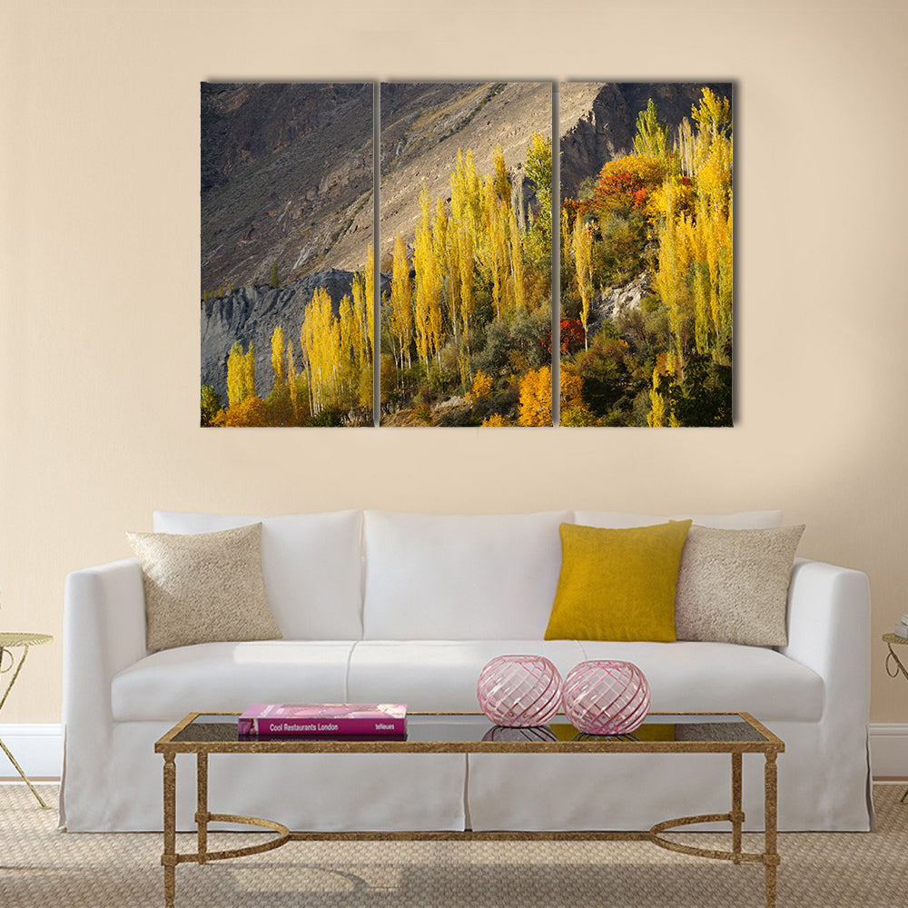 Hunza Valley in autumn,Northern area of Pakistan multi panel canvas wall art