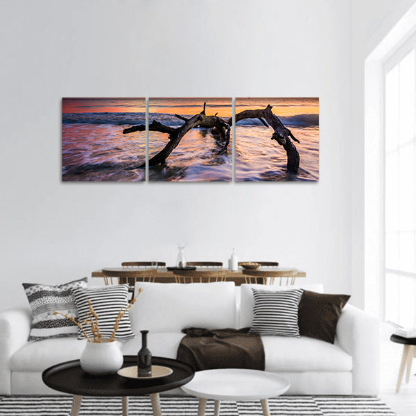 Atlantic Ocean at sunrise at Driftwood Beach, Jekyll Island, panoramic canvas wall art