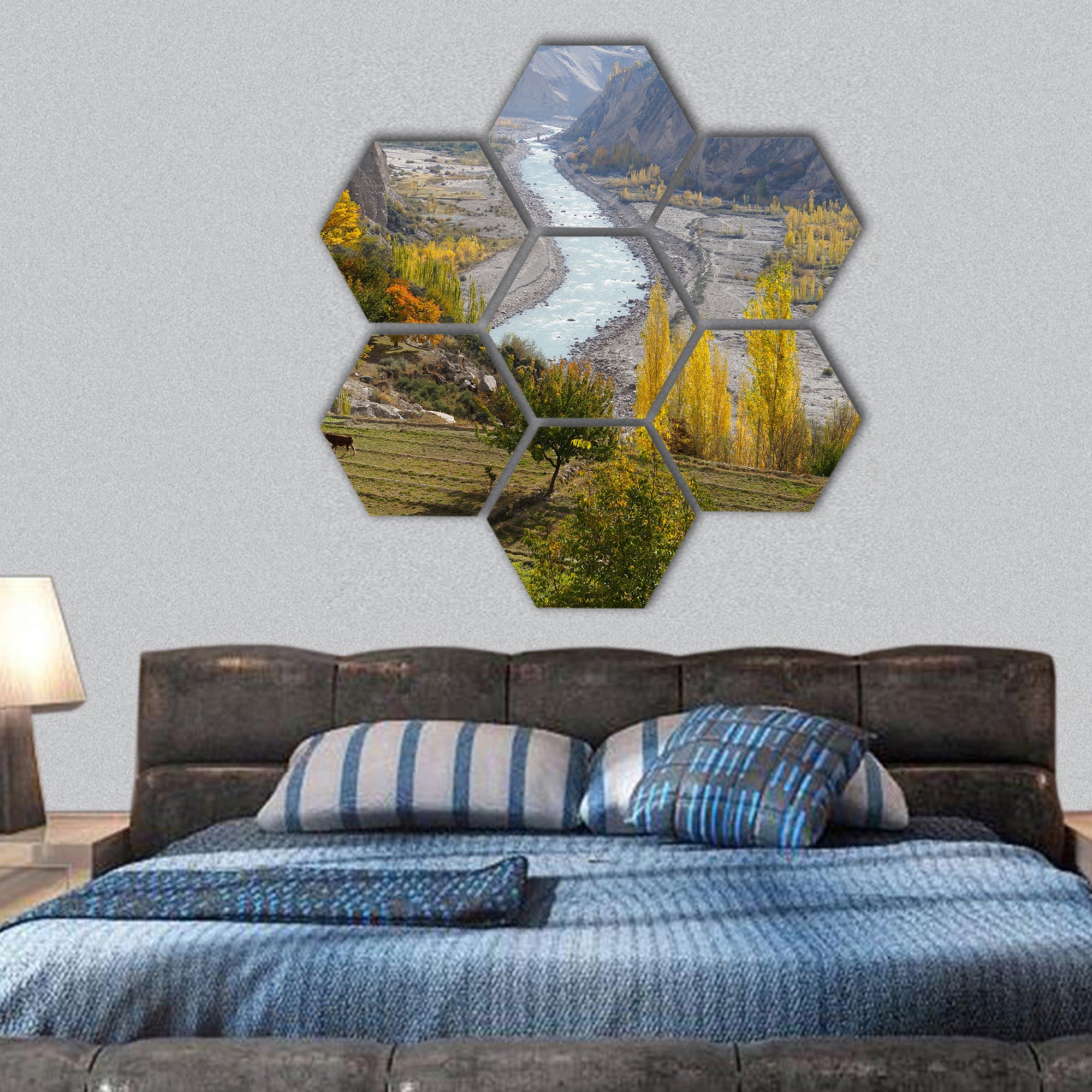 Agricultural field near Hunza Valley in Pakistan hexagonal canvas wall art