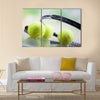 A set of tennis. Racket and ball. Studio shot Multi panel canvas wall art