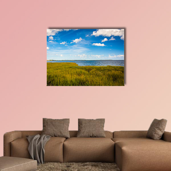 Marsh grasses at the Waterfront Park, in Charleston multi panel canvas wall art