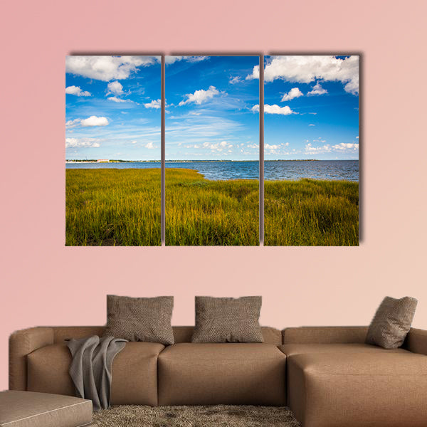 Marsh grasses at the Waterfront Park, in Charleston multi panel canvas wall art