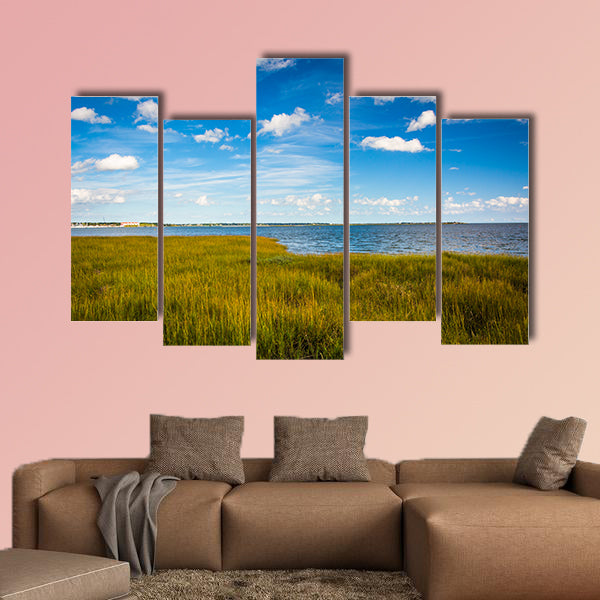 Marsh grasses at the Waterfront Park, in Charleston multi panel canvas wall art