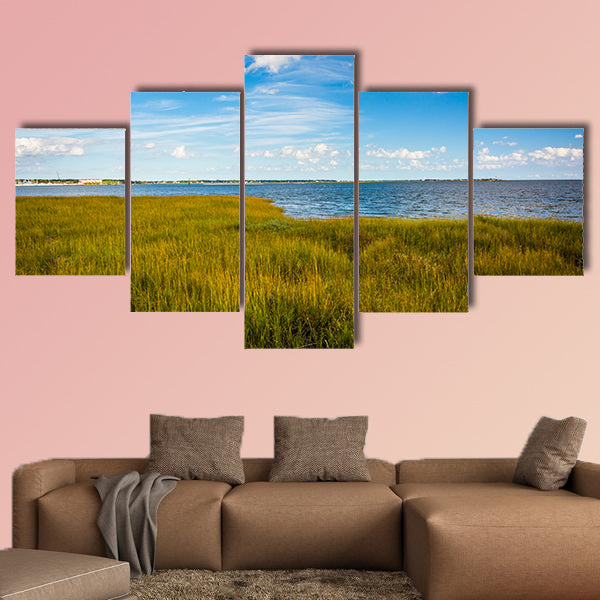 Marsh grasses at the Waterfront Park, in Charleston multi panel canvas wall art