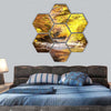 Autumnal leaves and clear stream hexagonal canvas wall art