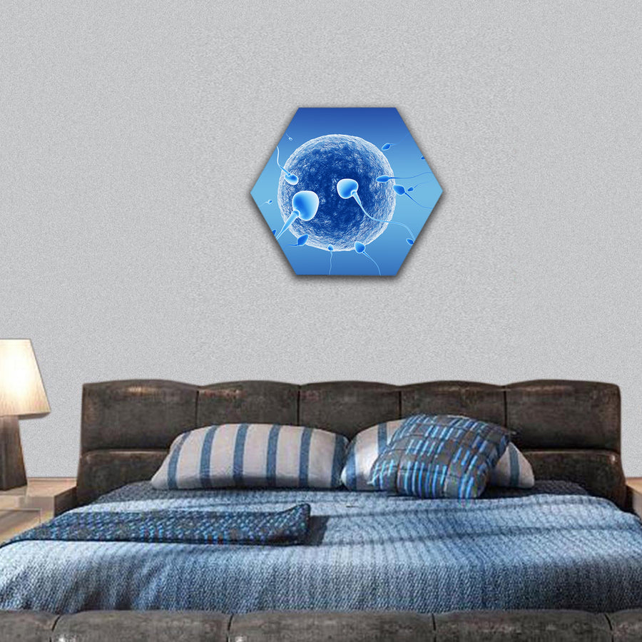 Spermatozoids and human egg hexagonal canvas wall art