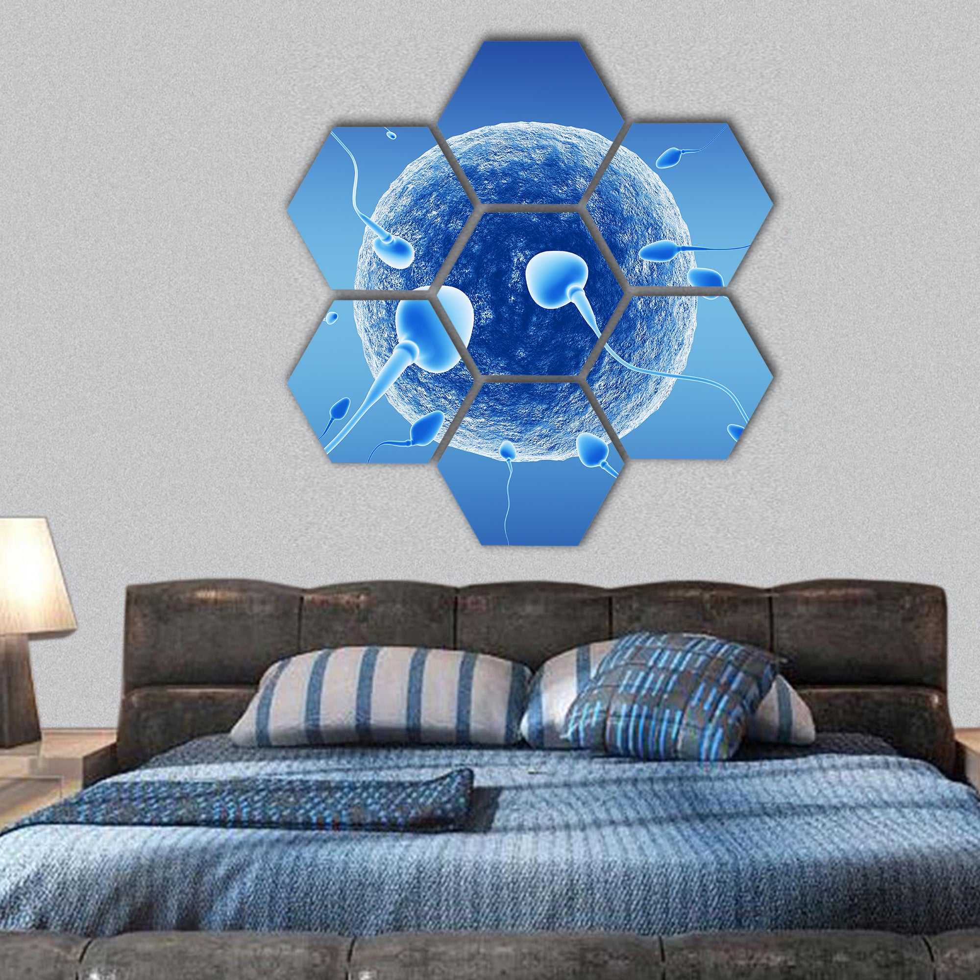 Spermatozoids and human egg hexagonal canvas wall art