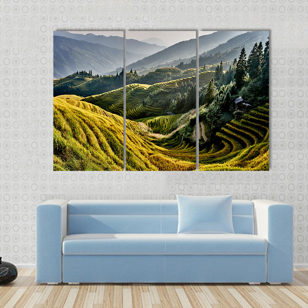 Rice terraced fields of Hunan China Multi panel canvas wall art
