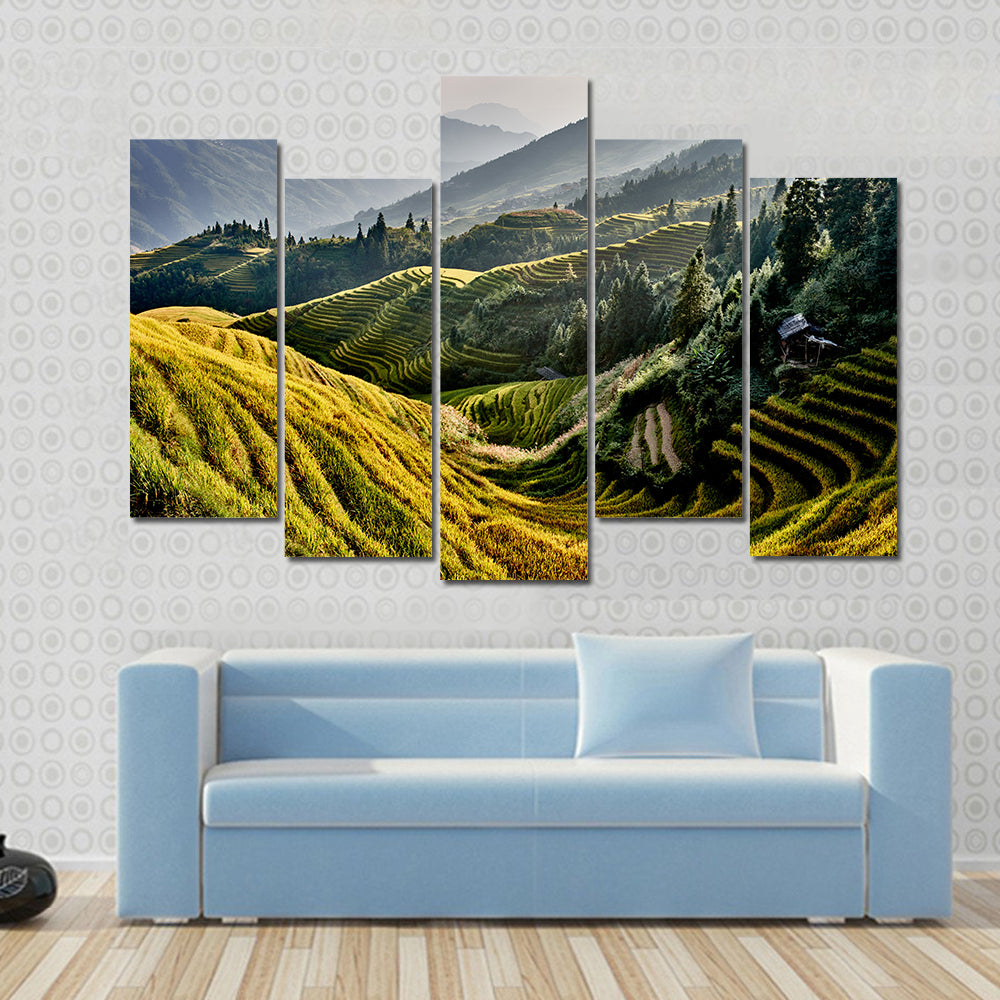 Rice terraced fields of Hunan China Multi panel canvas wall art