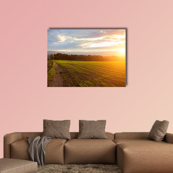 Beautiful sunset over the green large field Multi panel canvas wall art