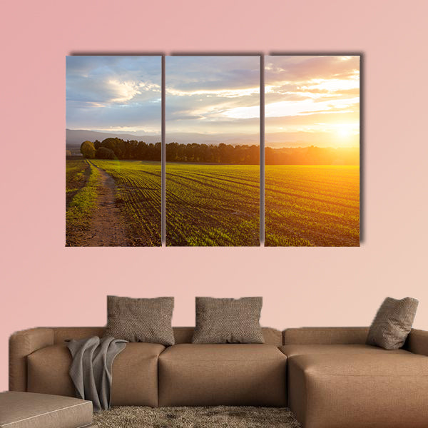 Beautiful sunset over the green large field Multi panel canvas wall art