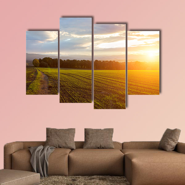 Beautiful sunset over the green large field Multi panel canvas wall art