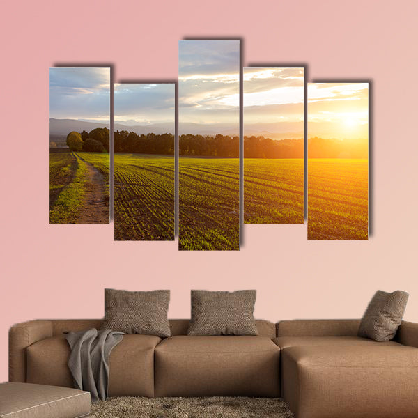 Beautiful sunset over the green large field Multi panel canvas wall art
