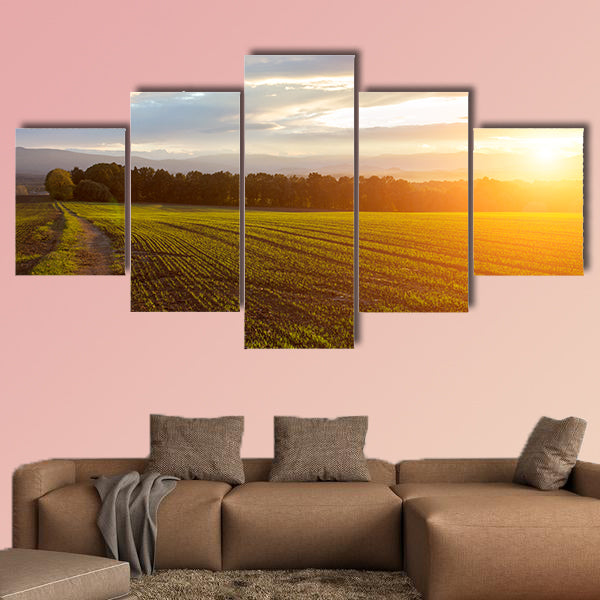 Beautiful sunset over the green large field Multi panel canvas wall art