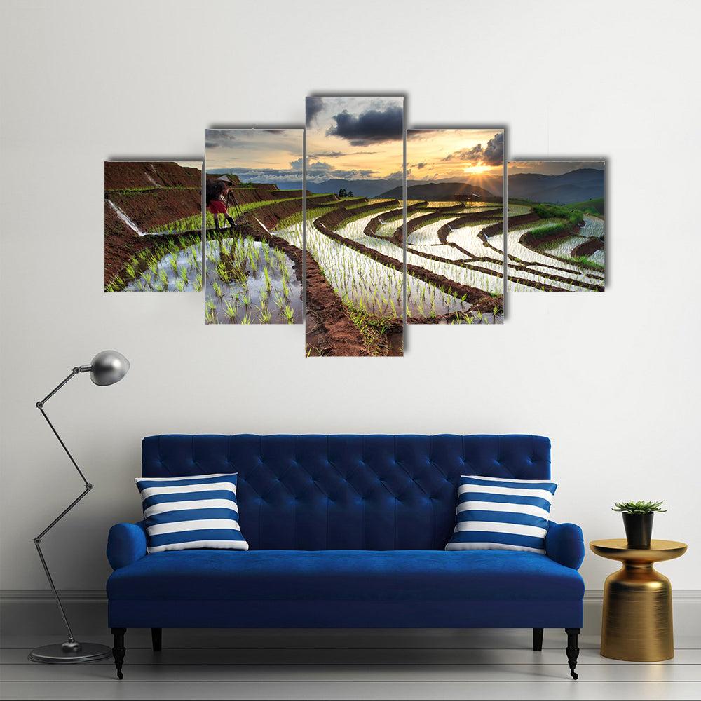 Rice fields on terraced at Chiang Mai, Thailand Multi panel canvas wall art