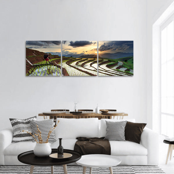 Rice fields on terraced at Chiang Mai, Thailand panoramic canvas wall art
