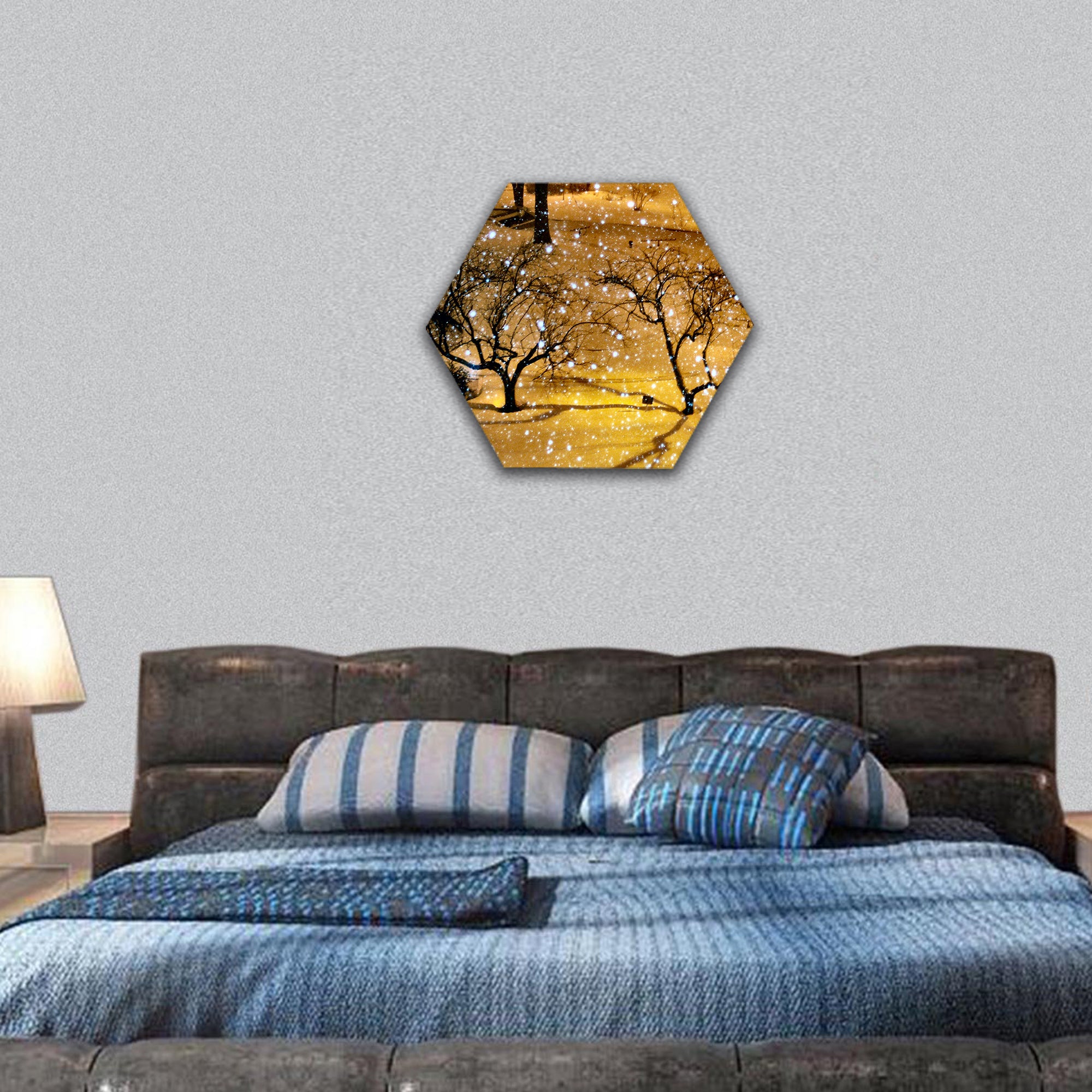 Winter in NYC hexagonal canvas wall art