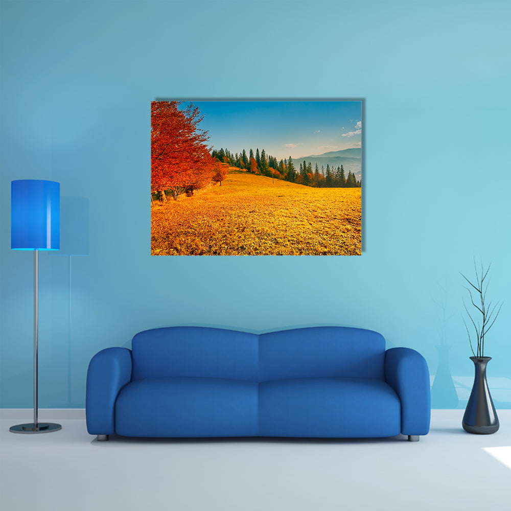 Colorful autumn landscape, Carpathian mountains, Ukraine, Europe multi panel canvas wall art