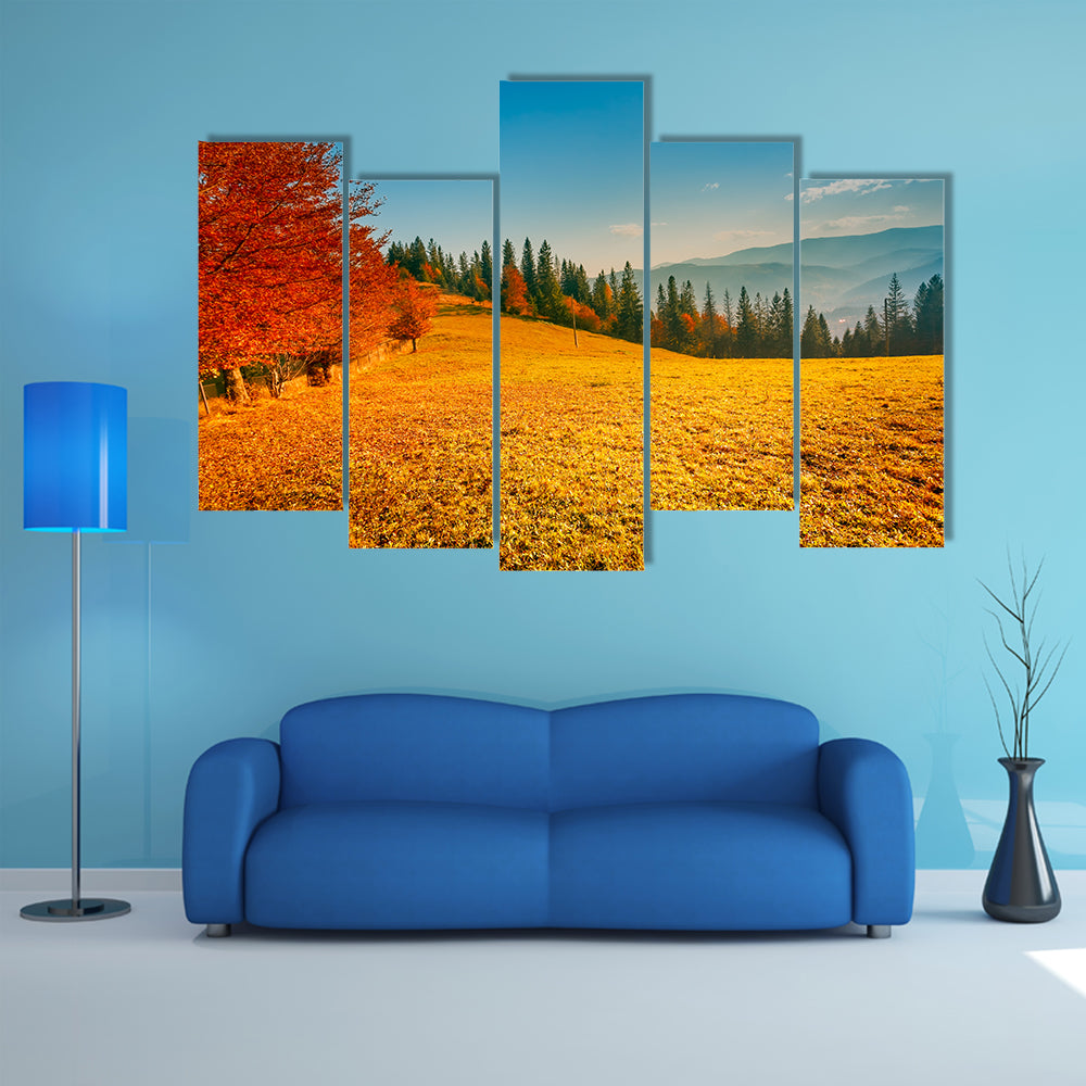Colorful autumn landscape, Carpathian mountains, Ukraine, Europe multi panel canvas wall art
