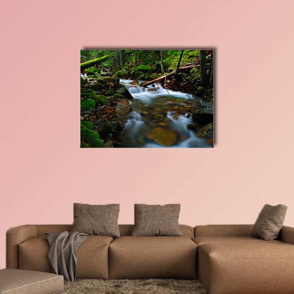 This large and cheap print is portraying the view of beauty flows clarnia store.