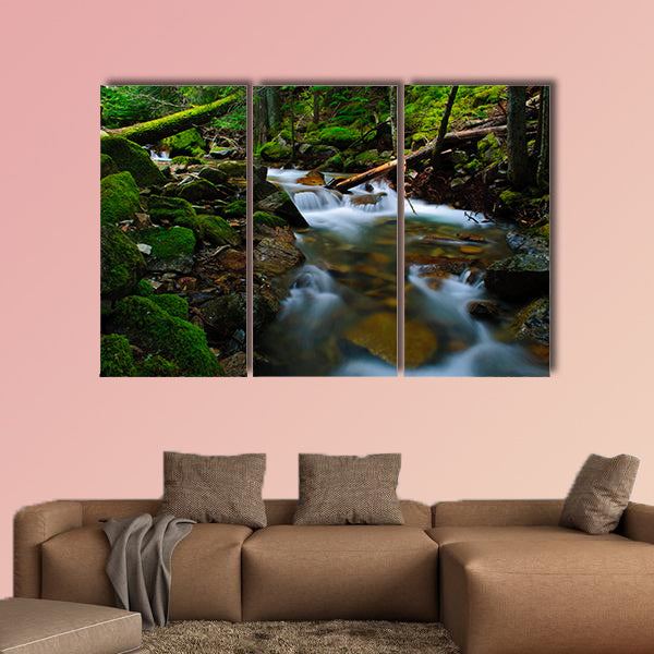 This large and cheap print is portraying the view of beauty flows clarnia store.