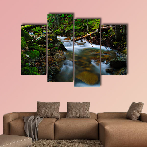 This large and cheap print is portraying the view of beauty flows clarnia store.
