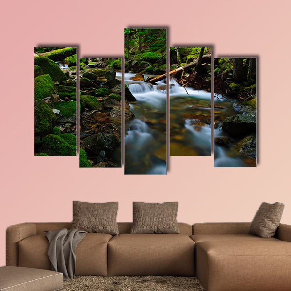 This large and cheap print is portraying the view of beauty flows clarnia store.