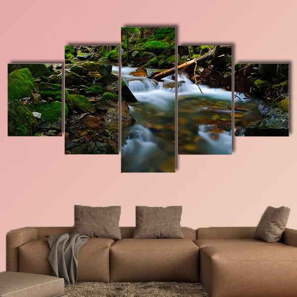 This large and cheap print is portraying the view of beauty flows clarnia store.