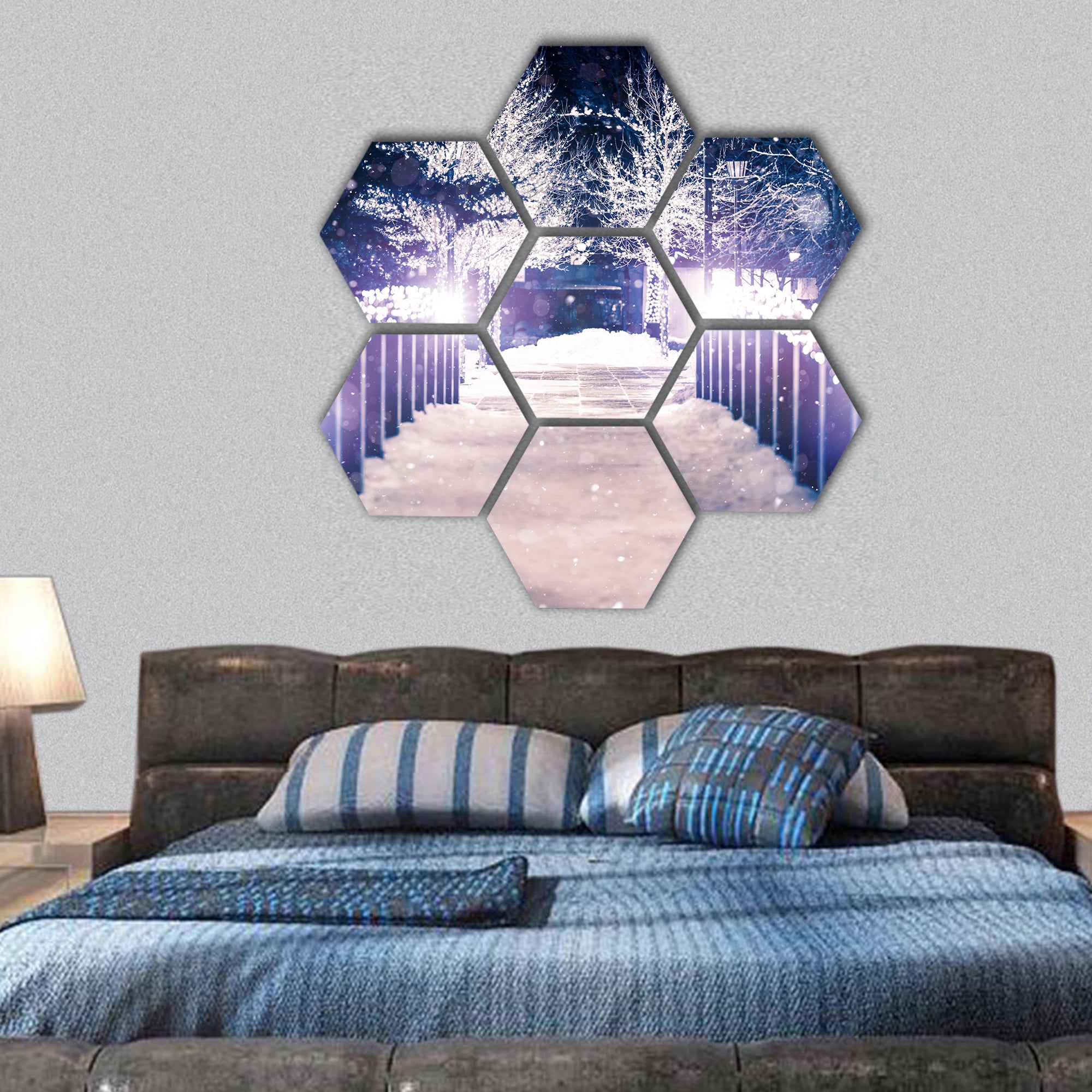 Park Bridge in Winter Season, Colorado hexagonal canvas wall art