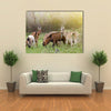 Herd of Alpine Goats Grazing on Meadow and Looking at Camera Multi Panel Canvas Wall Art