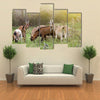 Herd of Alpine Goats Grazing on Meadow and Looking at Camera Multi Panel Canvas Wall Art