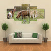 Herd of Alpine Goats Grazing on Meadow and Looking at Camera Multi Panel Canvas Wall Art