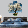 Single blossoming tree in spring hexagonal canvas wall art