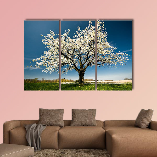 Single blossoming tree in spring multi panel canvas wall art