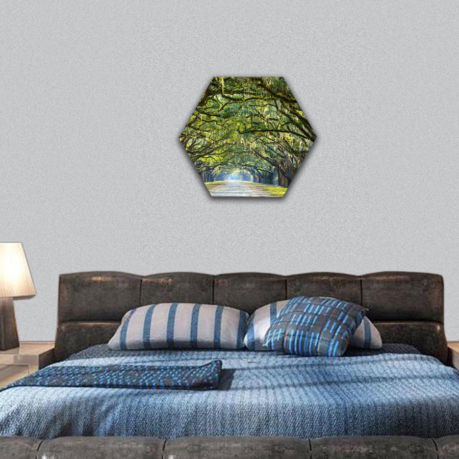 oak tree lined road at historic Wormsloe Plantation hexagonal canvas wall art