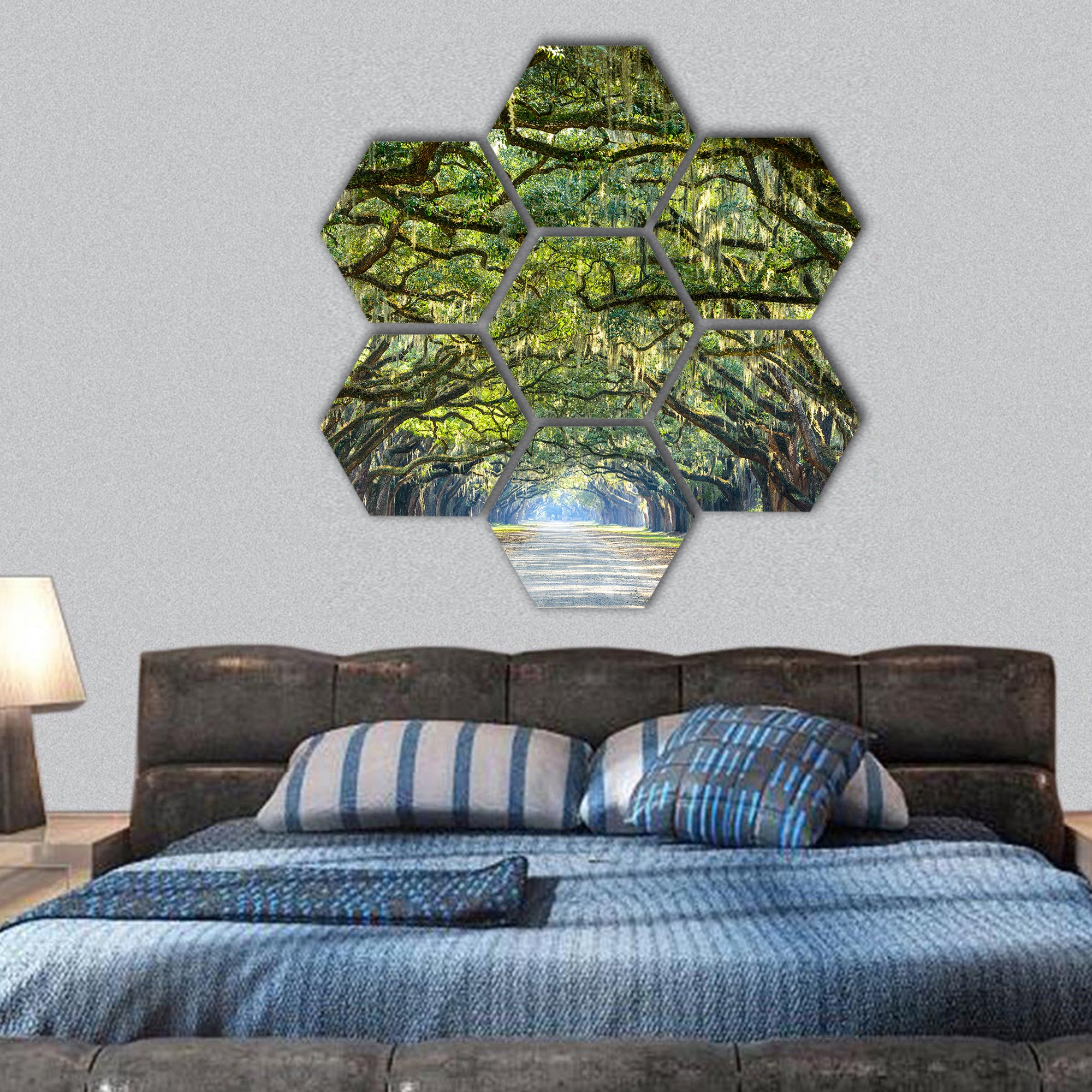 oak tree lined road at historic Wormsloe Plantation hexagonal canvas wall art