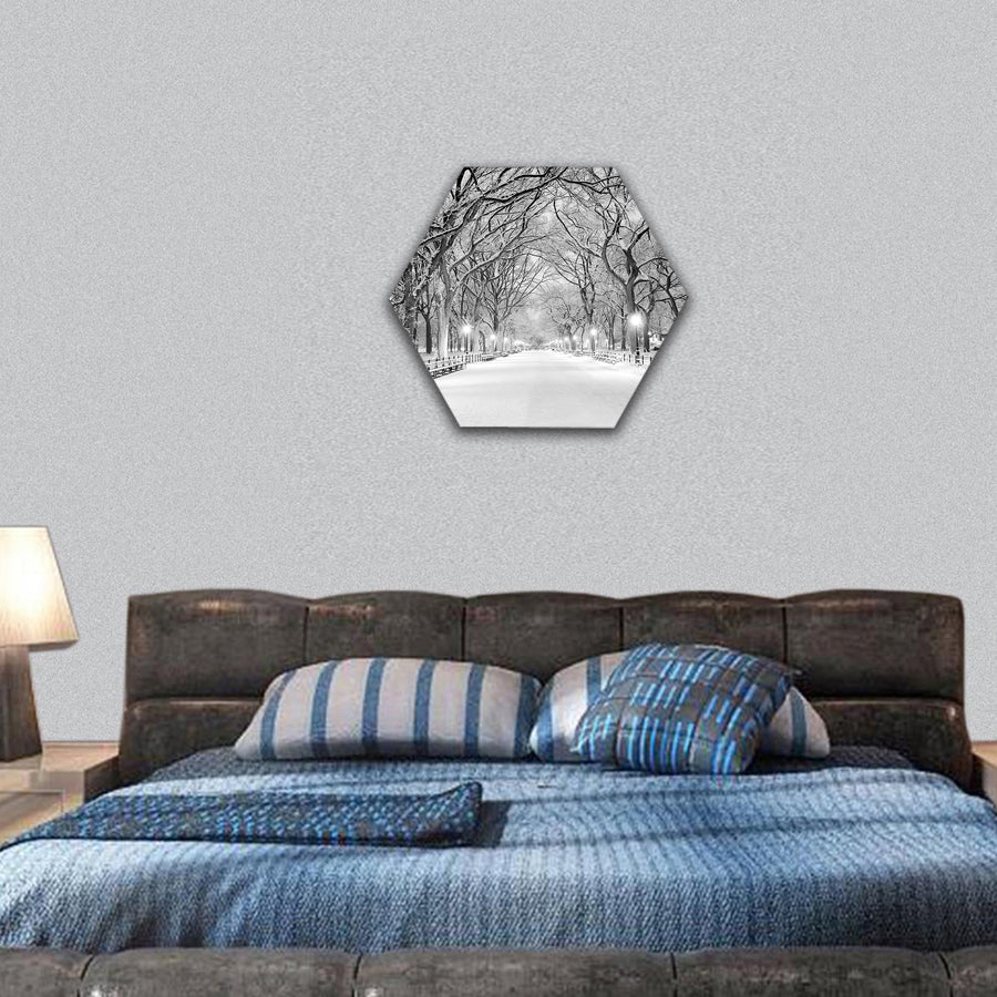 Central Park, NYC during a snow storm hexagonal canvas wall art