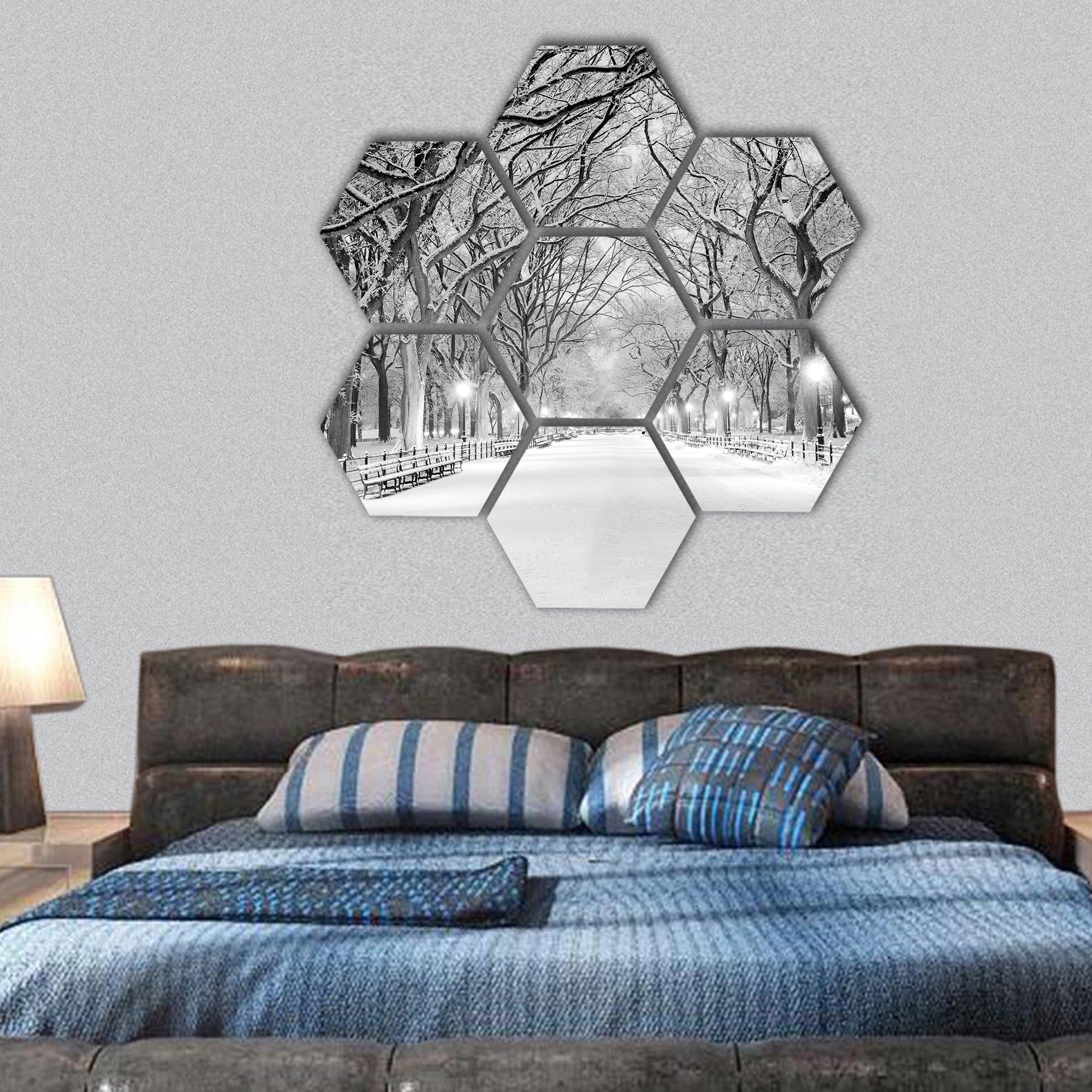 Central Park, NYC during a snow storm hexagonal canvas wall art