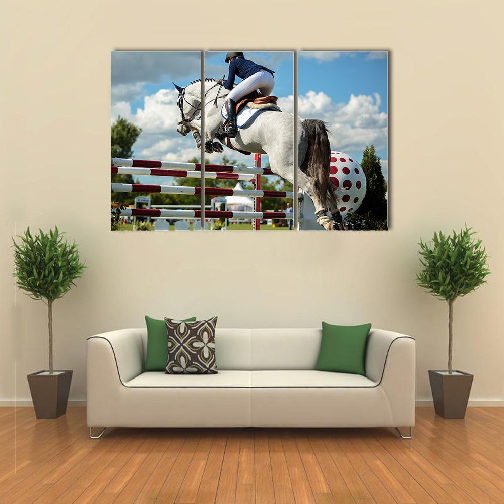 Horse view, Equestrian Sports multi panel canvas wall art