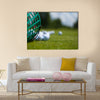 Golf ball basket grass equipment leisure activity Multi Panel Canvas Wall Art