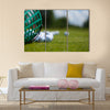 Golf ball basket grass equipment leisure activity Multi Panel Canvas Wall Art